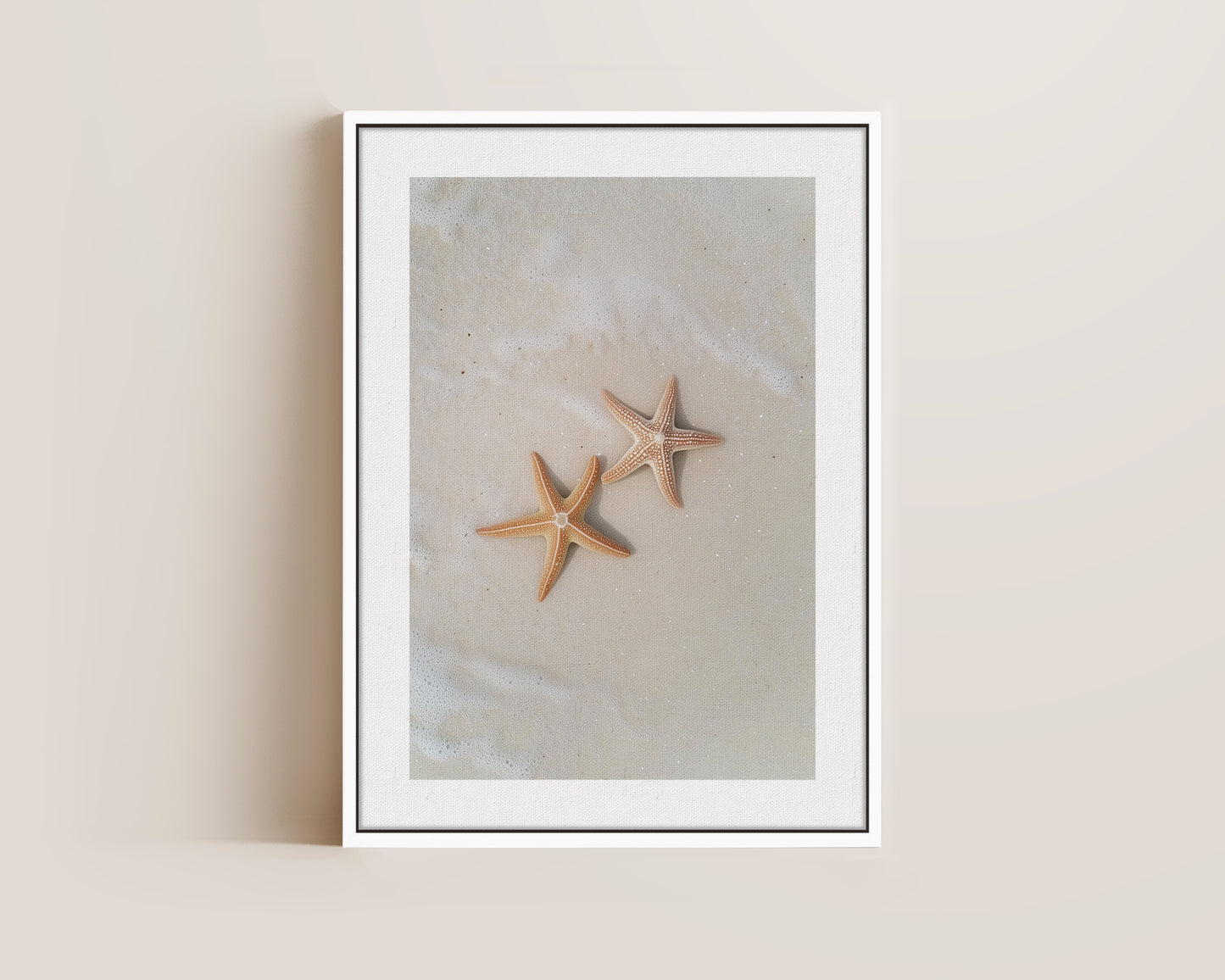 Starfish Canvas