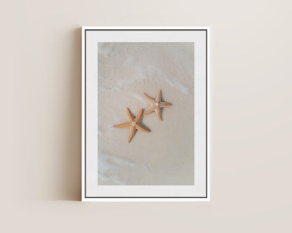 Starfish Canvas