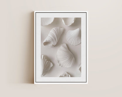 White Shells Canvas