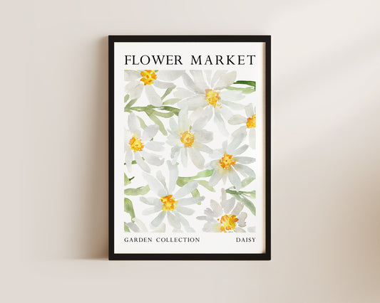 Daisy Flower Market