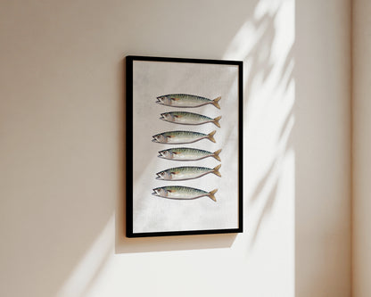 Mackerel Wall Art Print