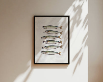 Mackerel Wall Art Print