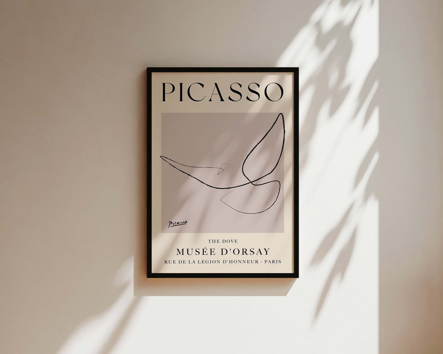 Picasso The Dove Art Print