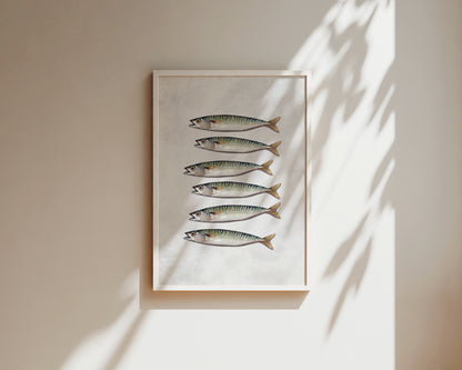 Mackerel Wall Art Print