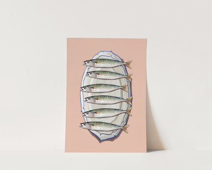 Pink Mackerel Wall Art Print