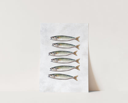 Mackerel Wall Art Print