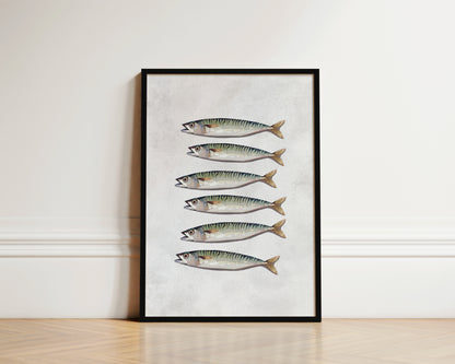 Mackerel Wall Art Print
