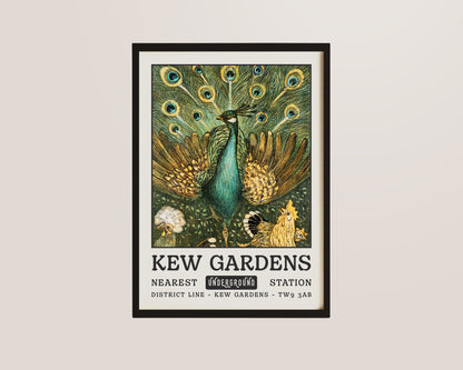 Kew Gardens Peacock Print